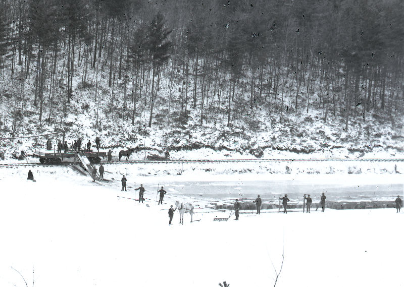 Cutting ice at Laurel Lake. There are workers with a horse on the lake and train flatbeds with a horse near the rails.  