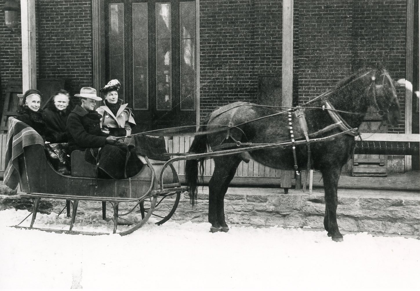 4 individuals seated in a horse drawn sleigh