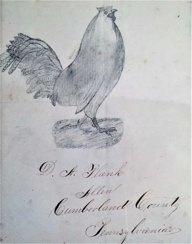 Plank Sketch of Chicken