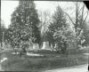 Image of Ashland Cemetery with the Lindner monument at the center of the photo. Magnolia (tulip magnolia) trees are in bloom at the front of the photo.  